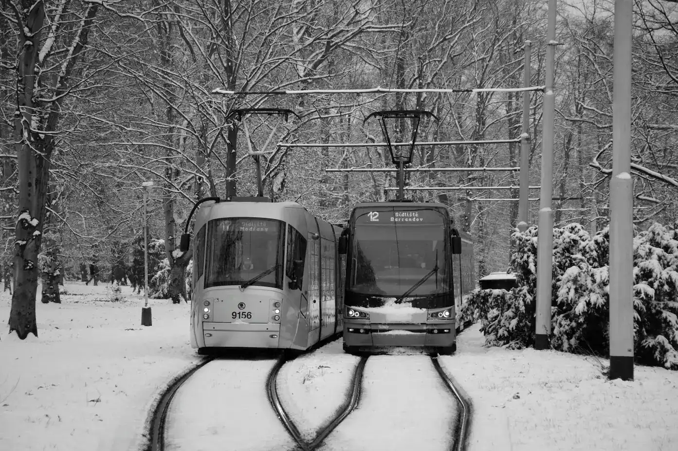 The Environmental Impact of Electric Vehicles: Are They Really Greener?